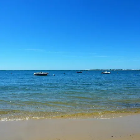 Apartment Centre - T2 Avec Balcon, Parking Securise, Proche Gare, Commerces Et - Fr-1-420-90 Arcachon